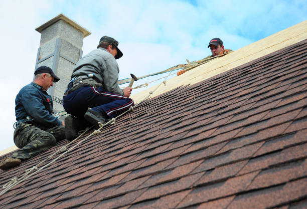 Quick and Trustworthy Emergency Roof Repair Services in San Fernando, CA